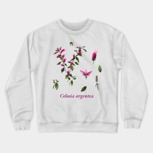 celosia argentea flowers Blume Crewneck Sweatshirt